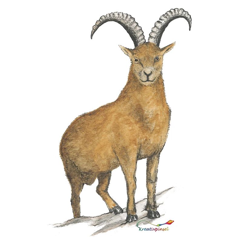 Steinbock