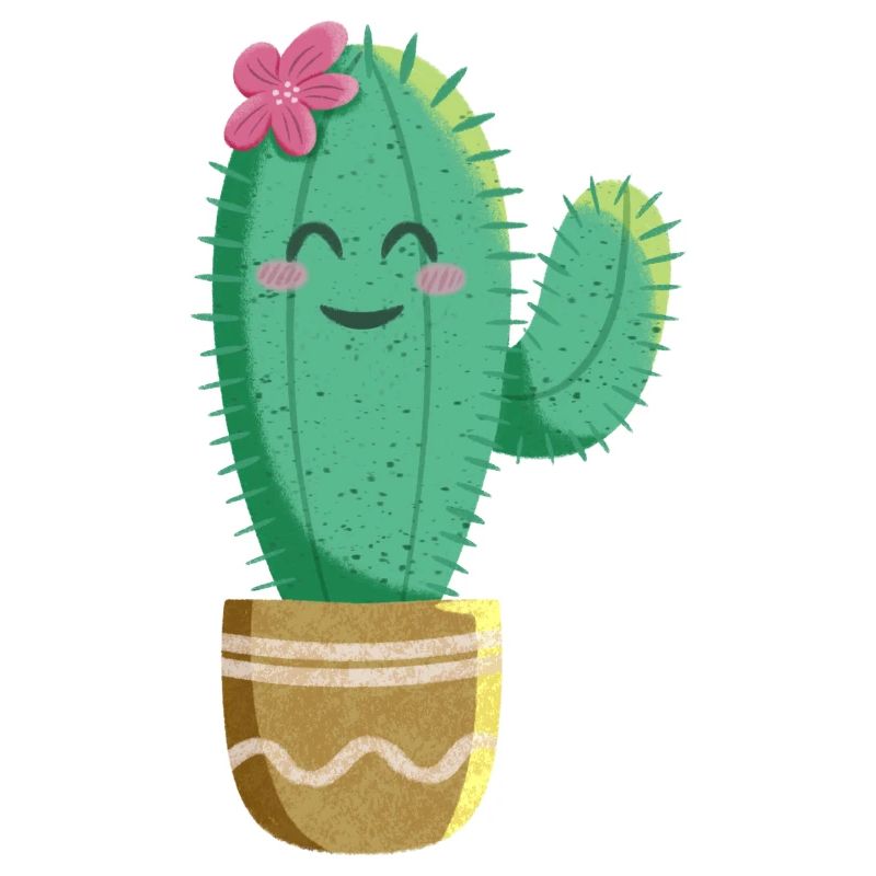 Cactus mignon avec fleur