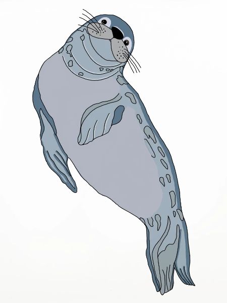 Seal seal