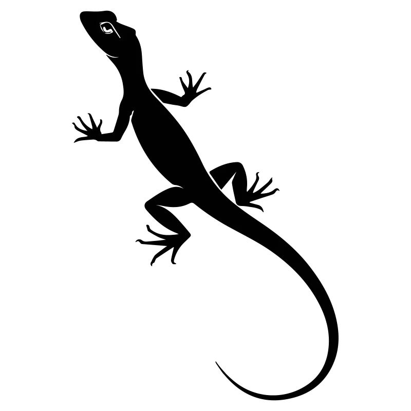 Lizard