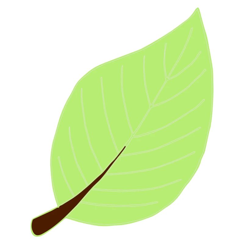 leaf