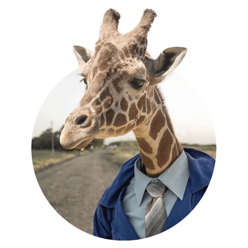 Giraffe im Anzug