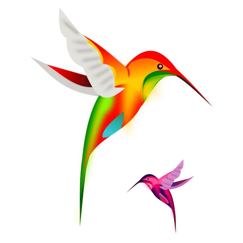 Die Kolibris