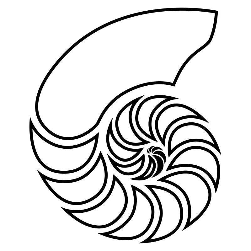 nautilus spiral shell