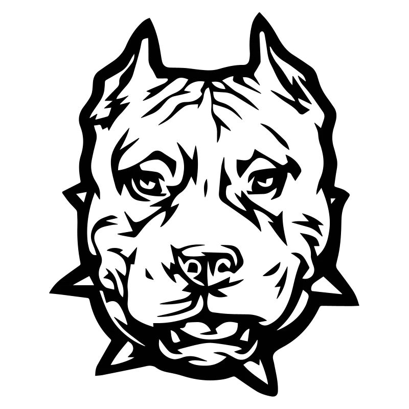 pitbull_1