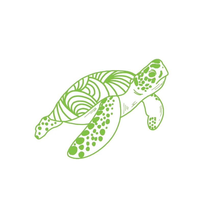 Schildkröte