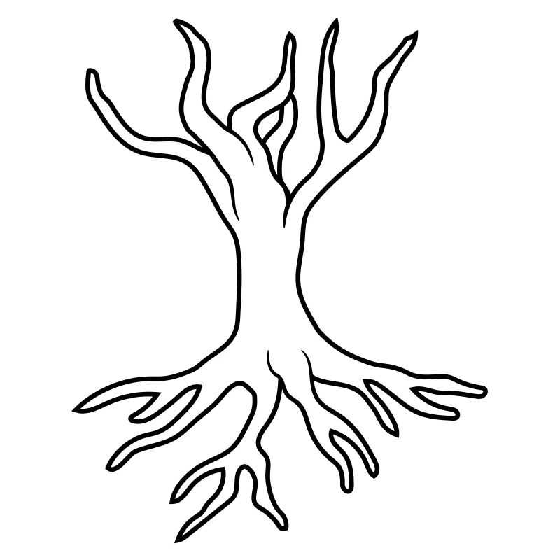 Conception d'arbre racine