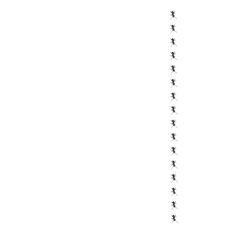 Fourmi minimalisme conception simple fourmi