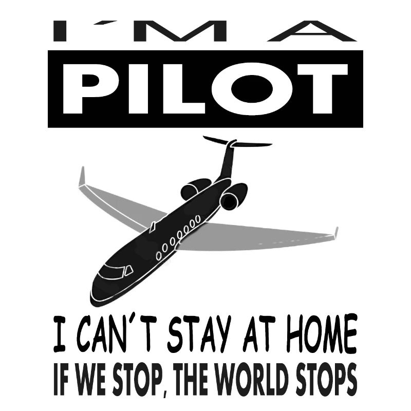 Pilot airplane saying pilots saying gift idea