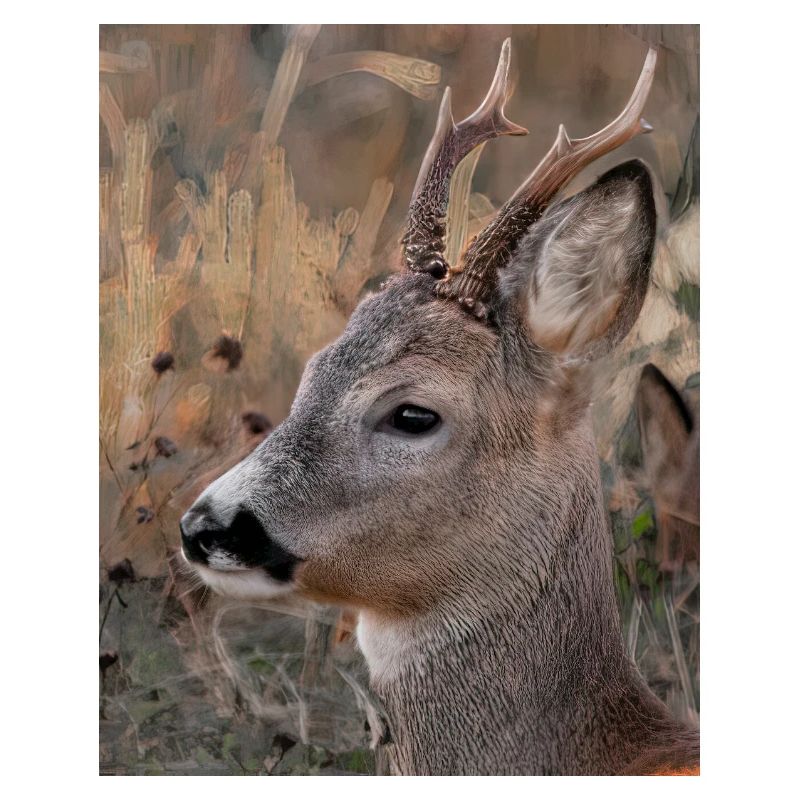 Rohe Tiere