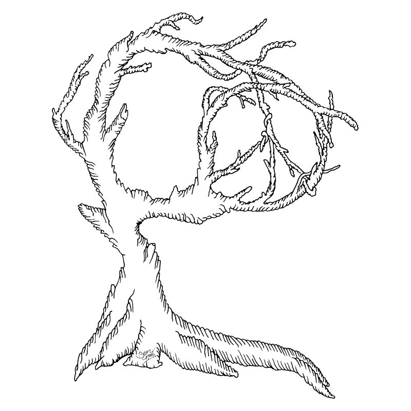 Peace Tree