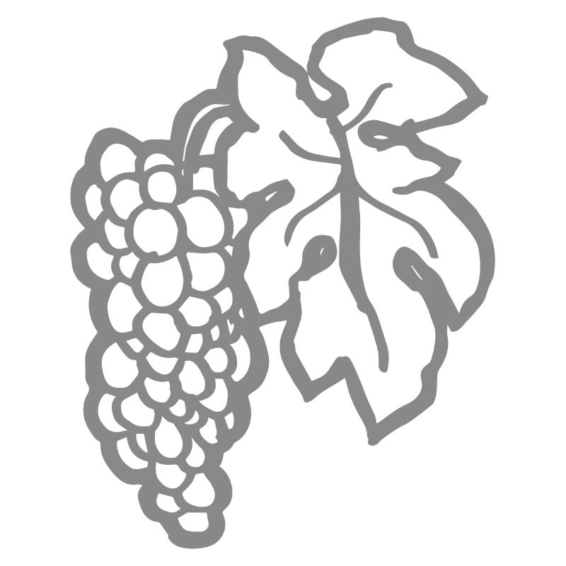 Grapevine Pinot Noir Gift Funny Winemaker Grape