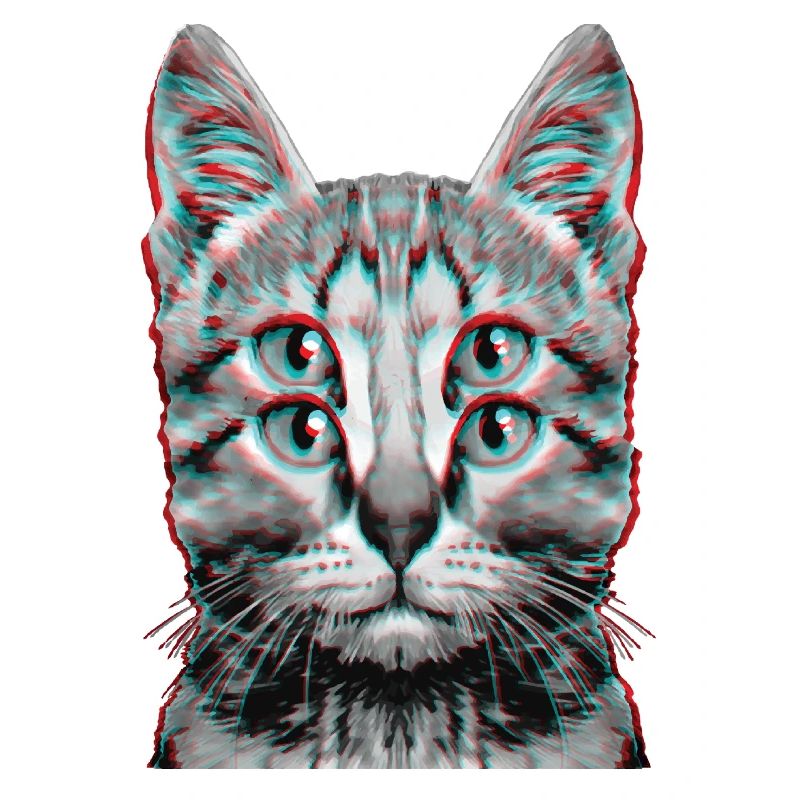 Glitch Chat Étrange Chaton Illusion D’optique