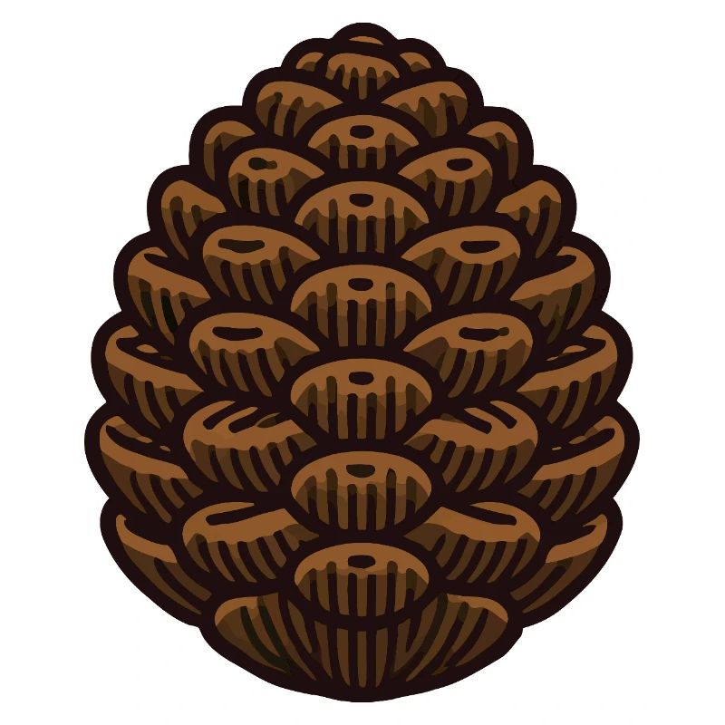 Pine cone