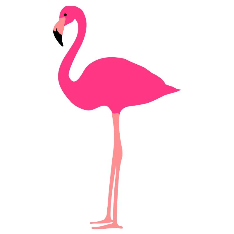 Flamant