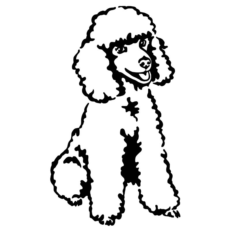 Pudel