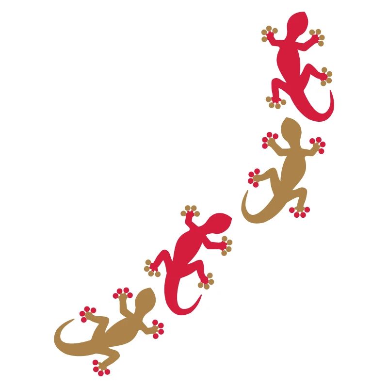 Vier Geckos 2c