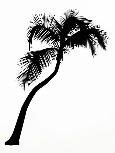 Palme