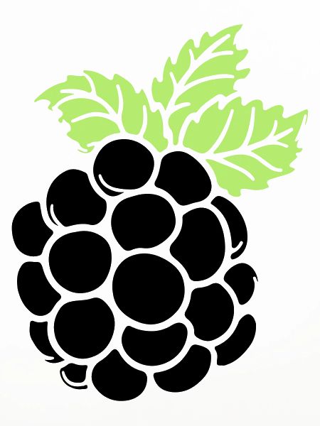 blackberry