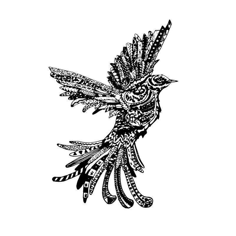 Vogel im Fluge