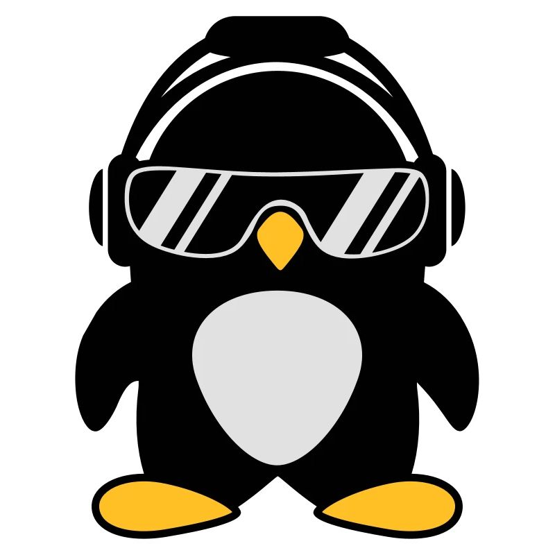 Pingouin avec un casque