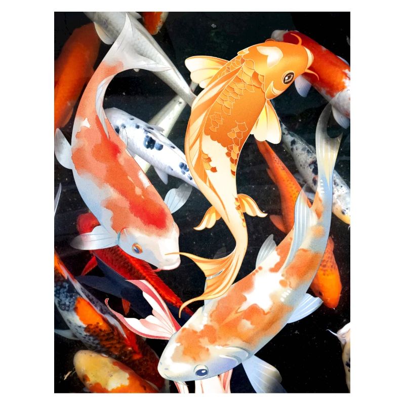 koi karpe