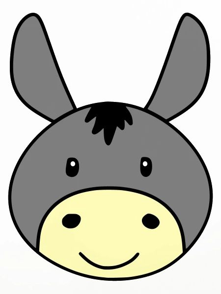 Cute donkey