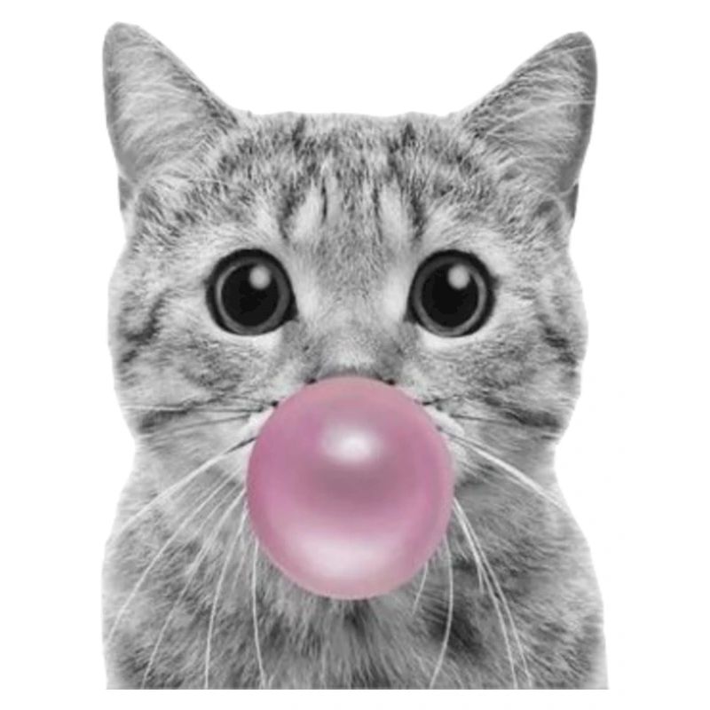 Bubble Katze