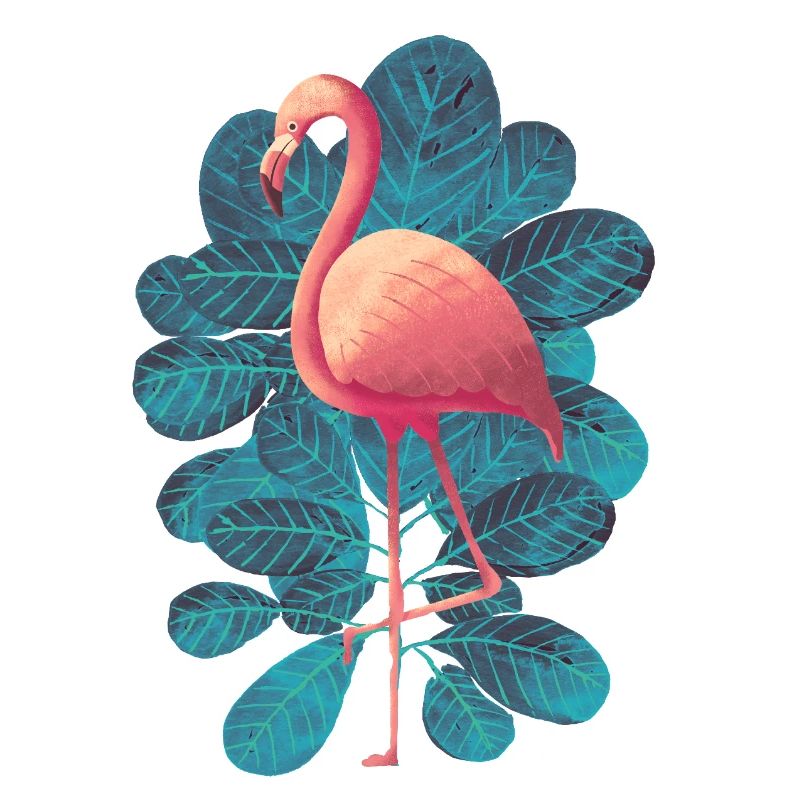Flamingo