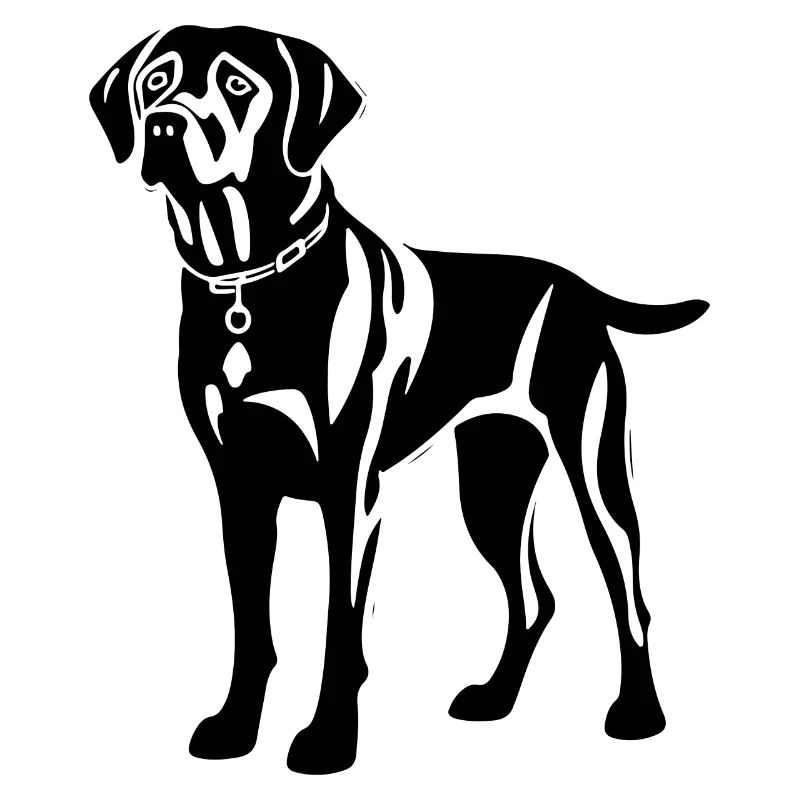 Labrador Hund