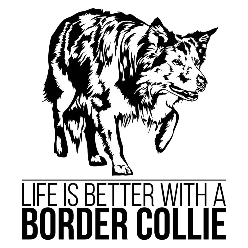 Border Collie life is better Hunde Spruch Wilsigns