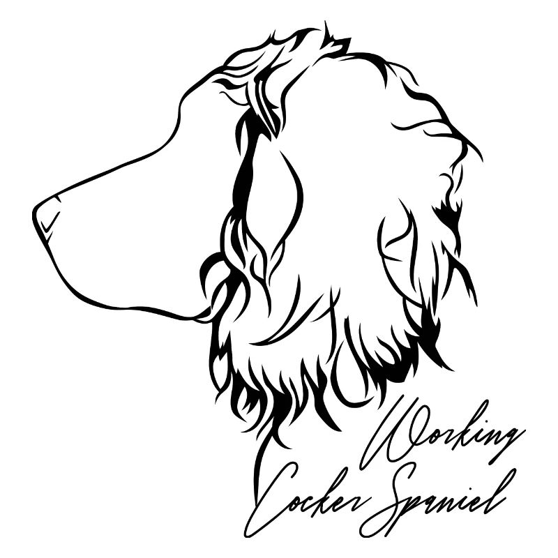 COCKER DE TRAVAIL SPANIEL Profil Chiens Wilsigns