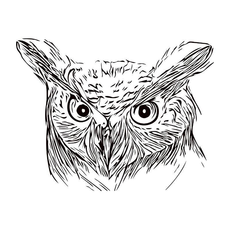 Eule - Uhu - Vogel