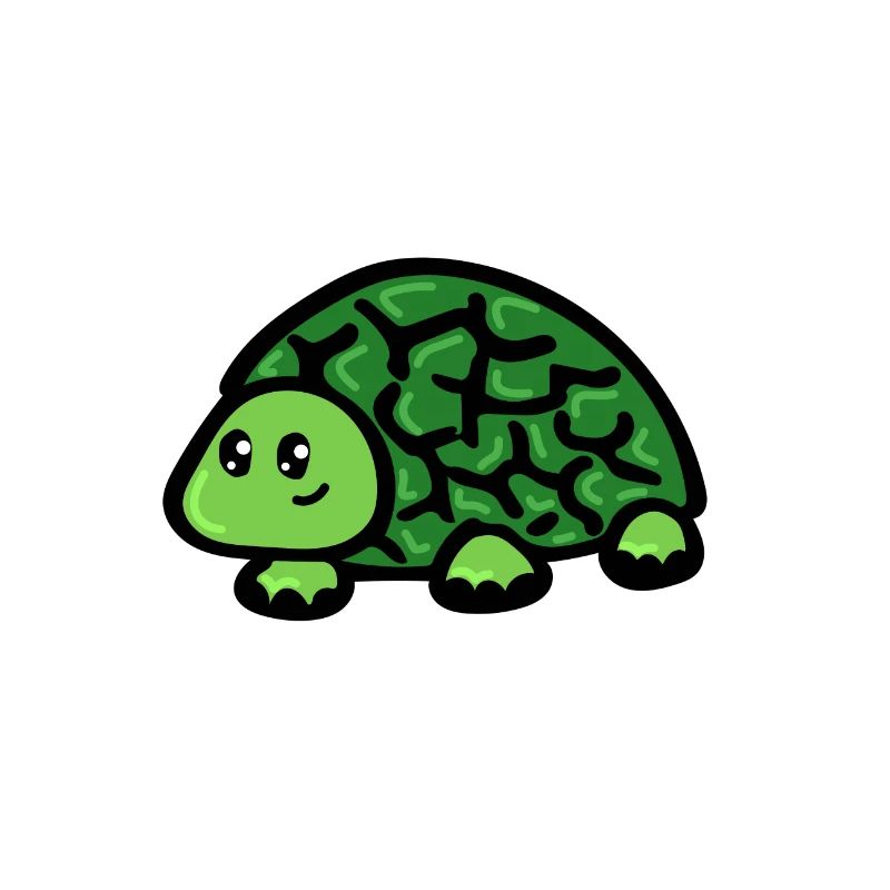 Schildkröte