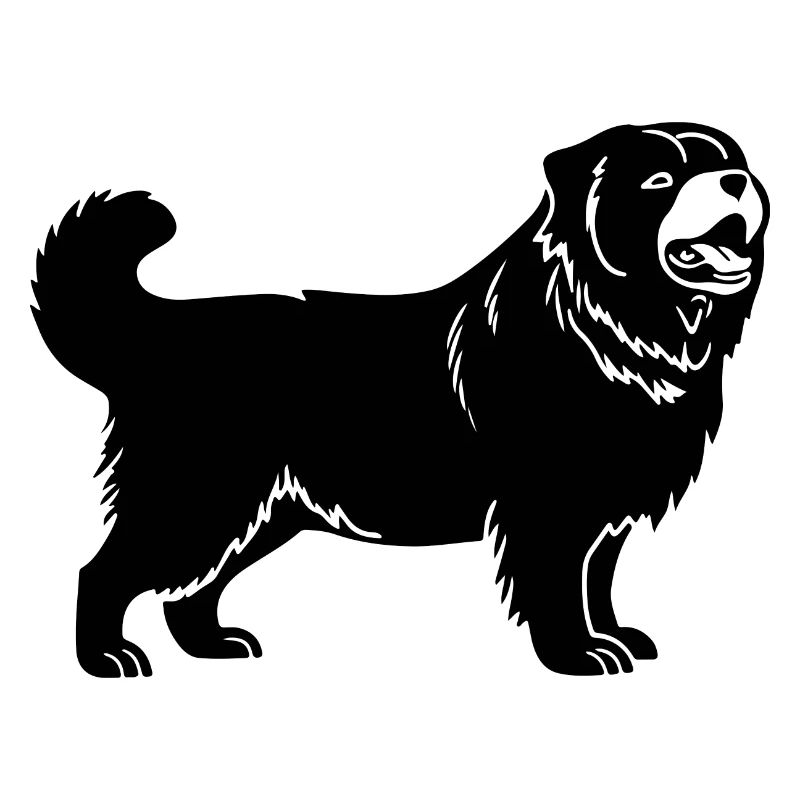 Chow Chow Chien
