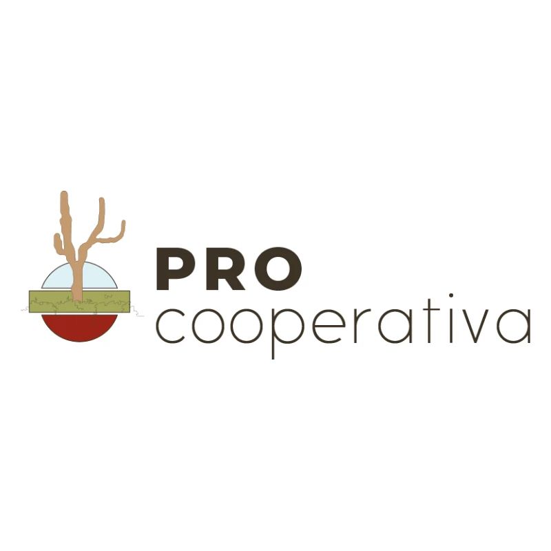 PRO_CAST