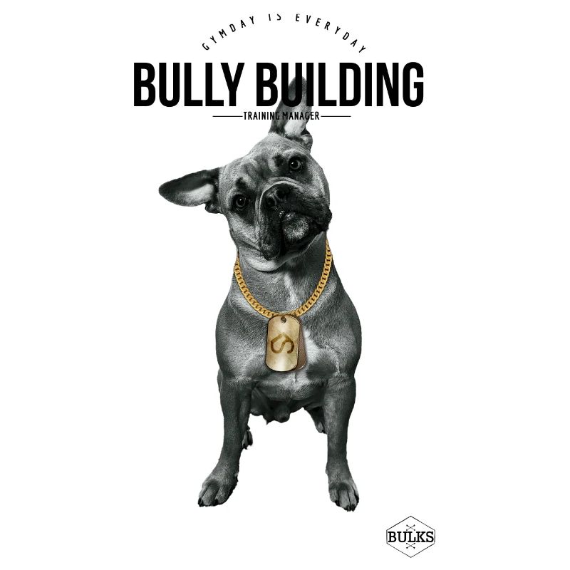 Bully Building