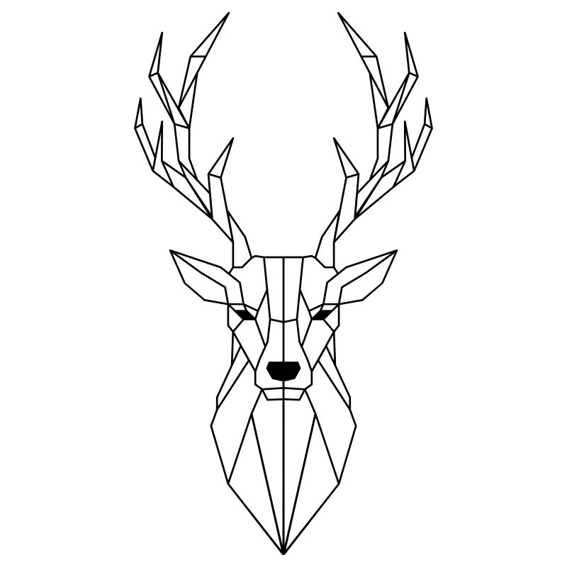 Polygone de cerf