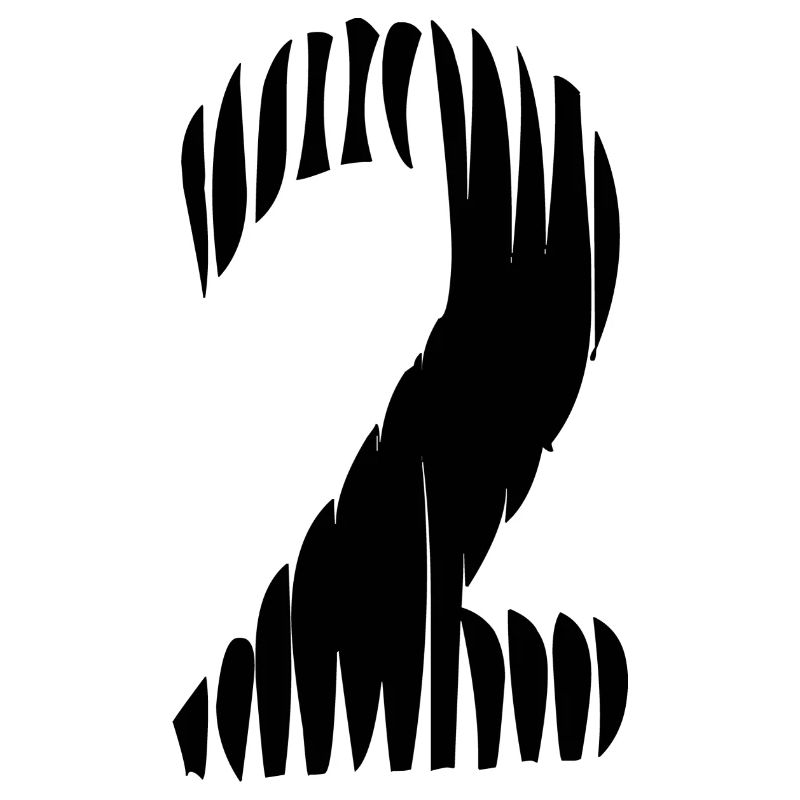 Maillot numéro 2