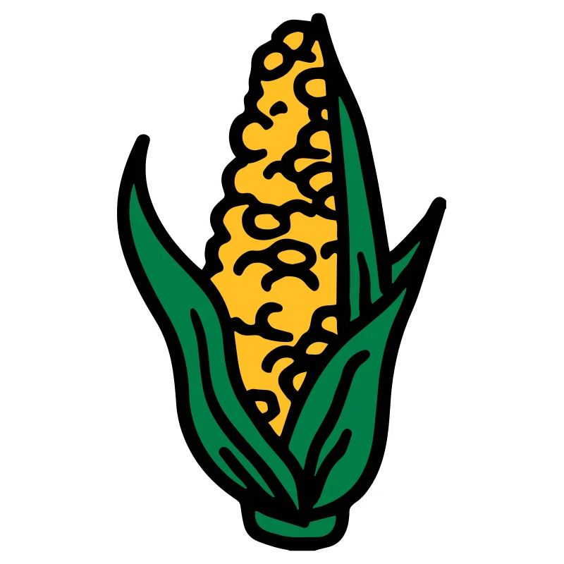 Corn maïs maïs corncob