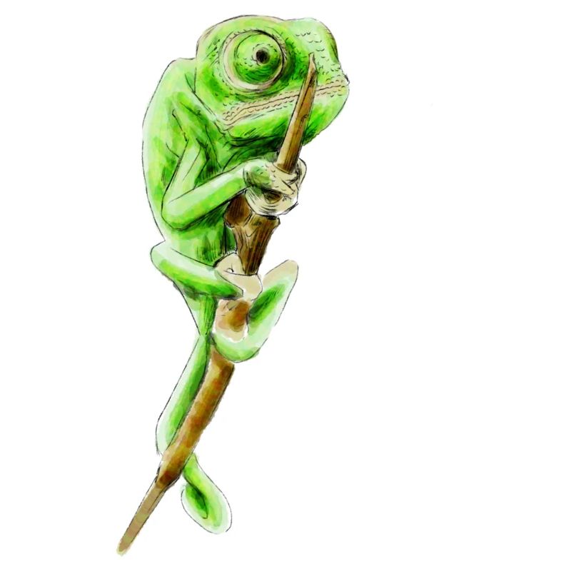 Caméléon