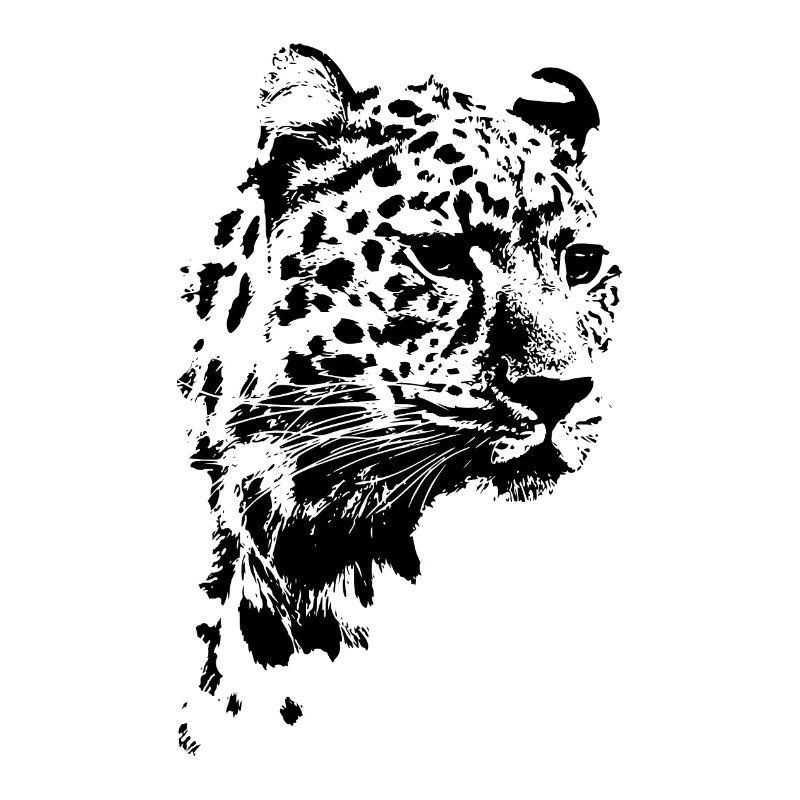 Gepard