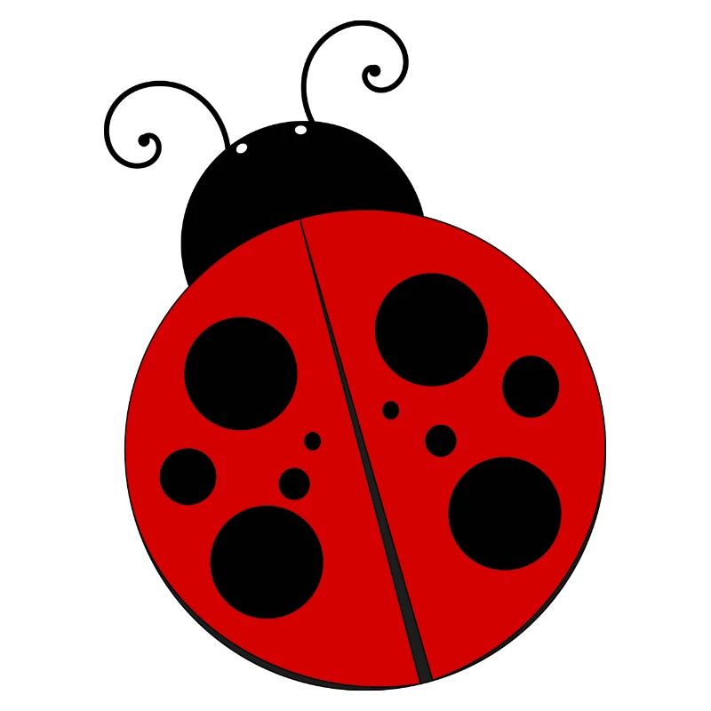 Marienkäfer