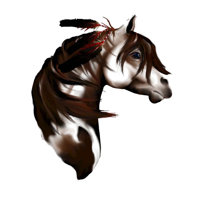 Feathered Paint Horse