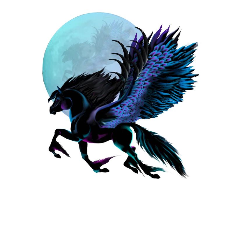 Black Pegasus