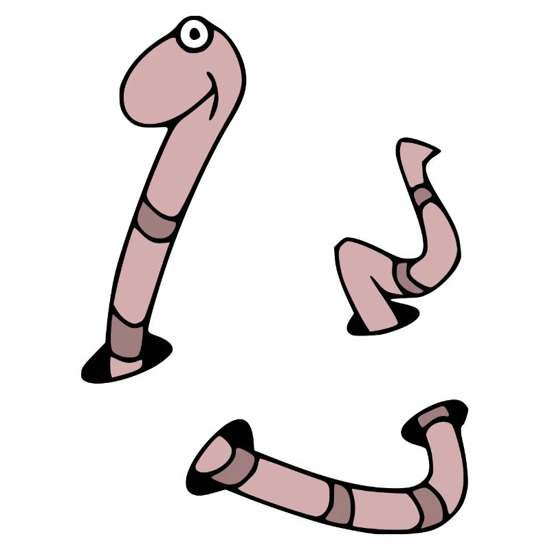 Wurm