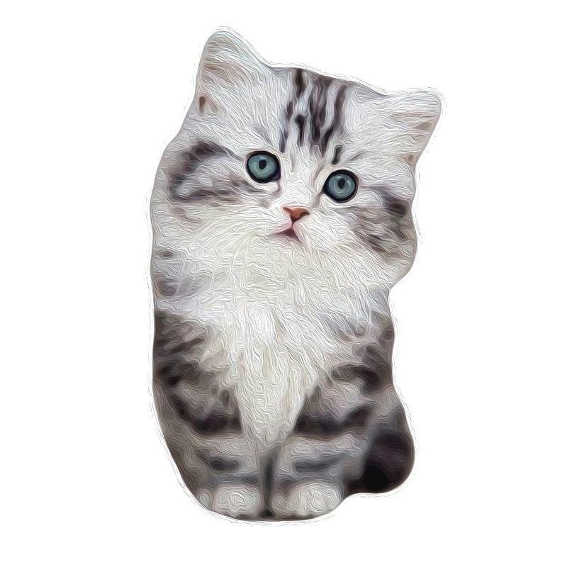 Chat de patte de velours mignon kitty kitty