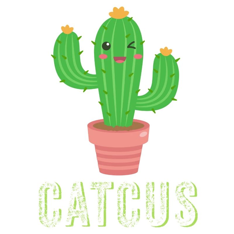 Catcus - Cactus drôle, Cactus mignon, Cactus chat