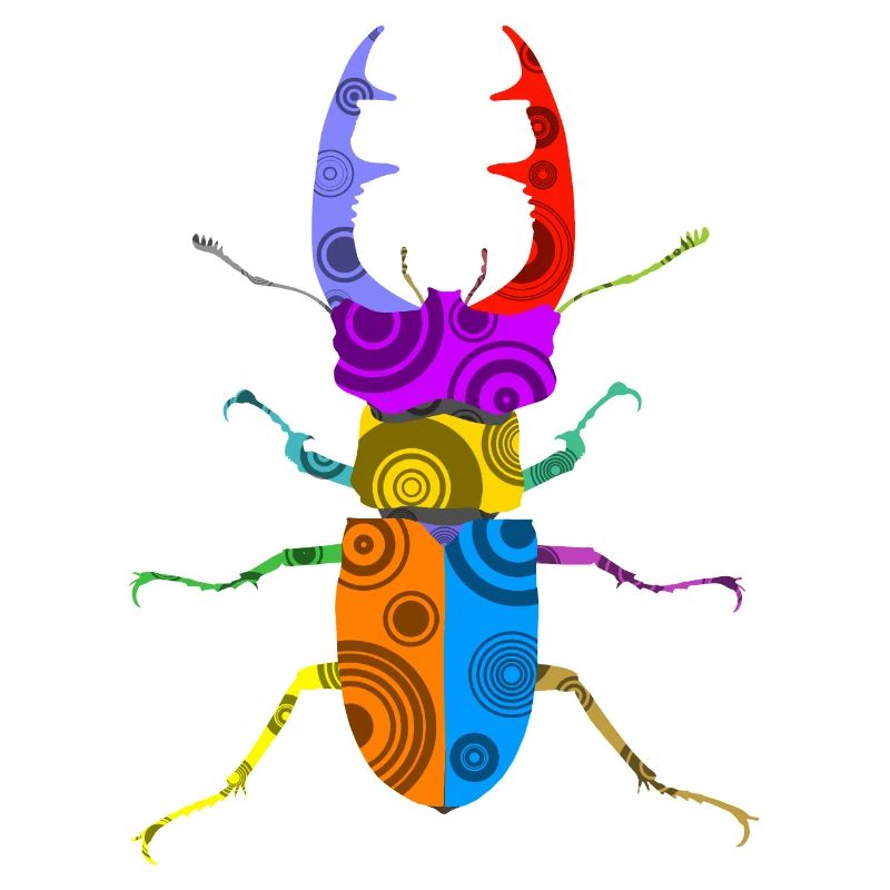 Stag beetle