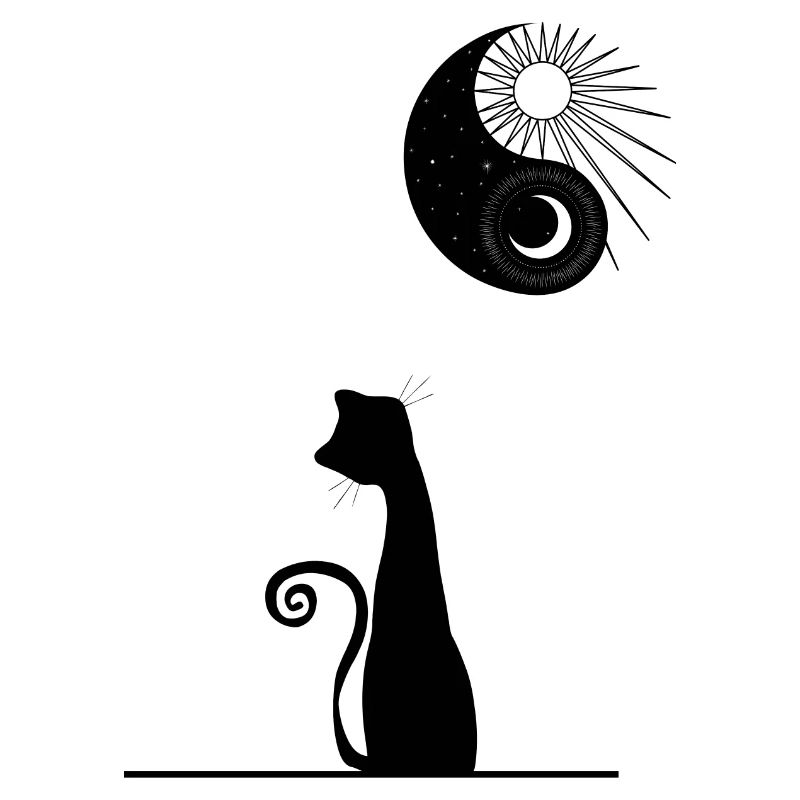 chat en face lune